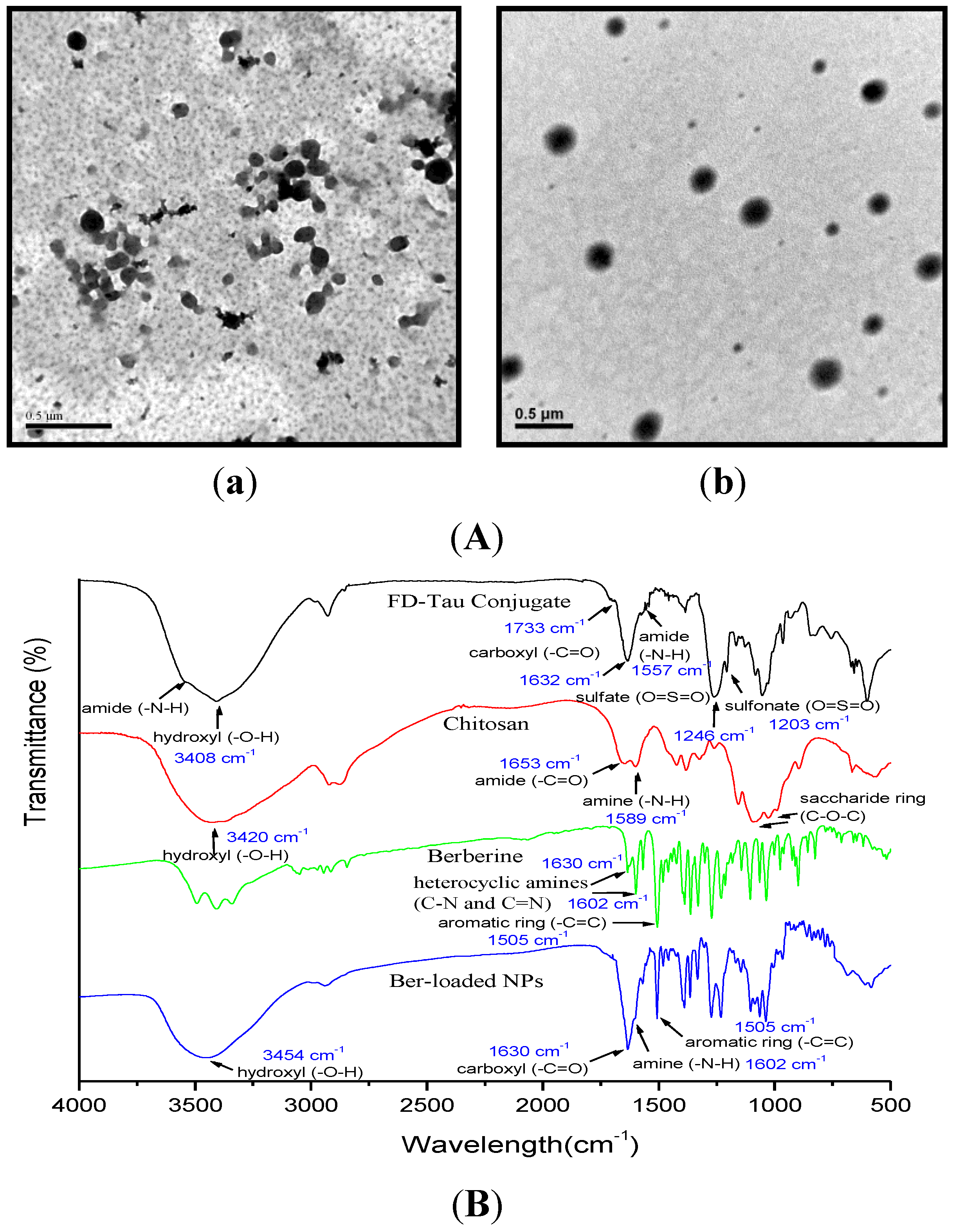 Marinedrugs 12 05677 g003