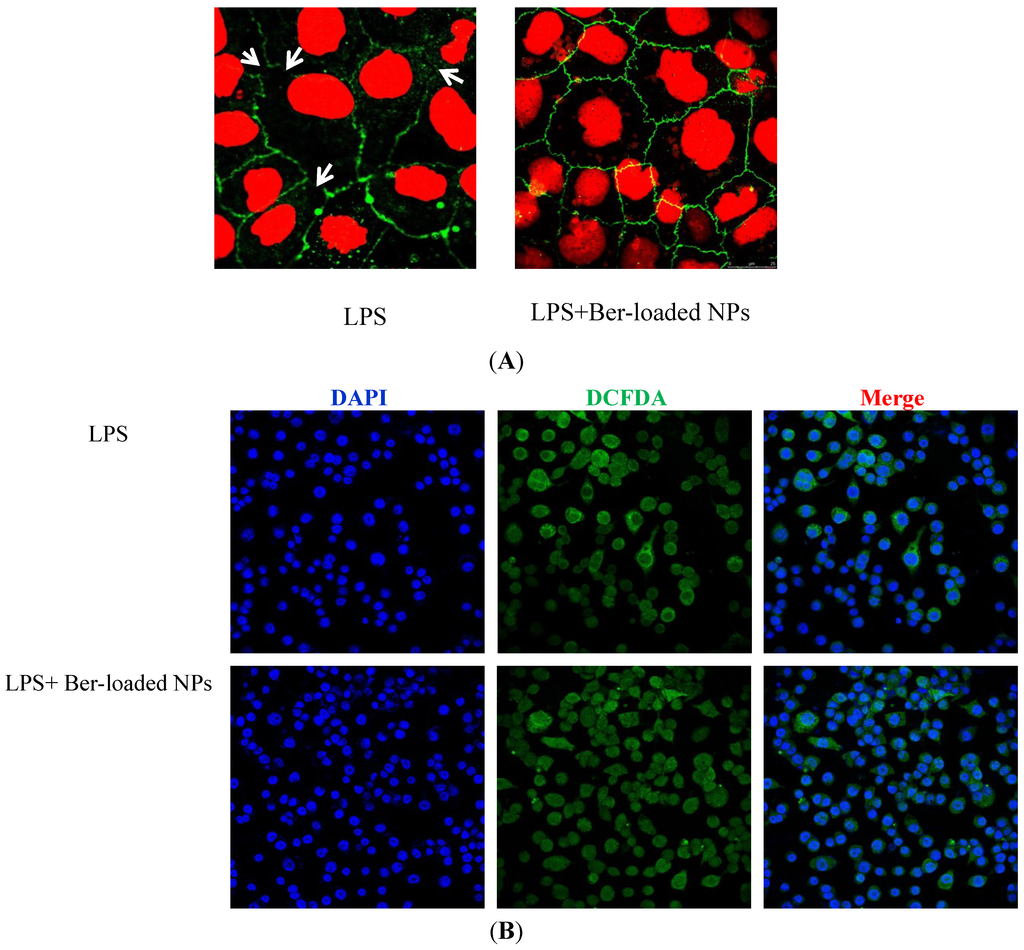 Marinedrugs 12 05677 g008 1024