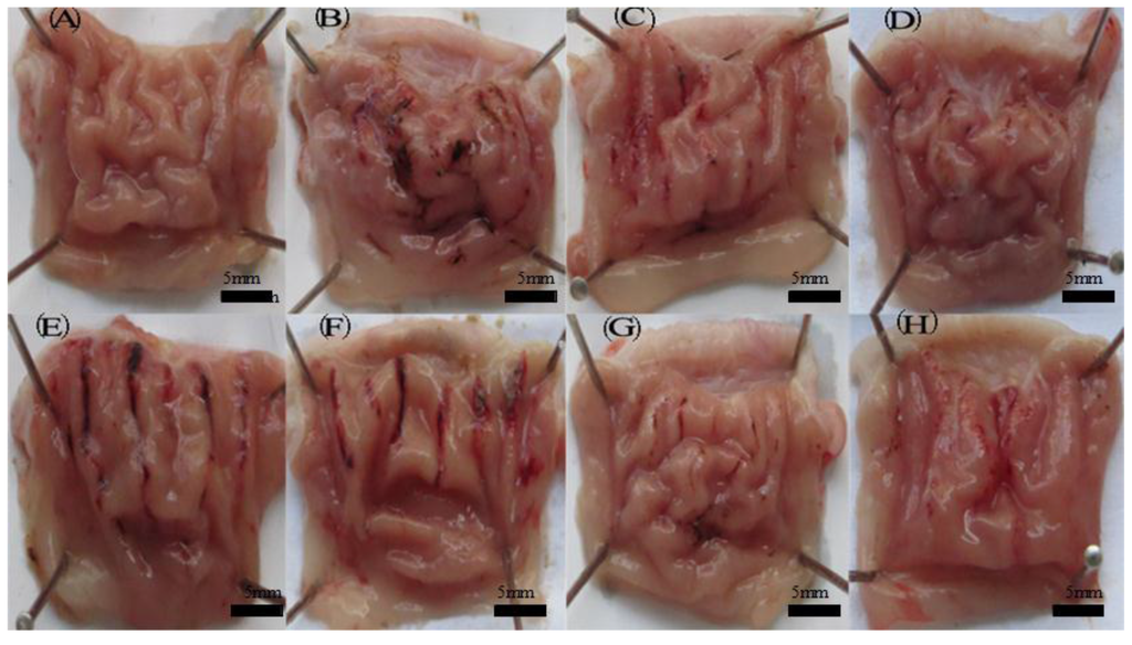 Marinedrugs 12 05764 g008 1024