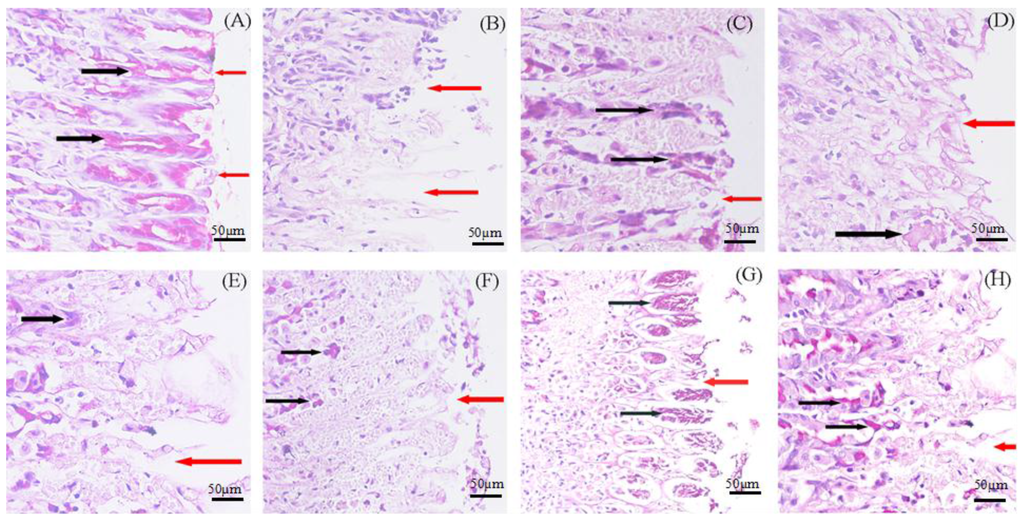 Marinedrugs 12 05764 g009 1024