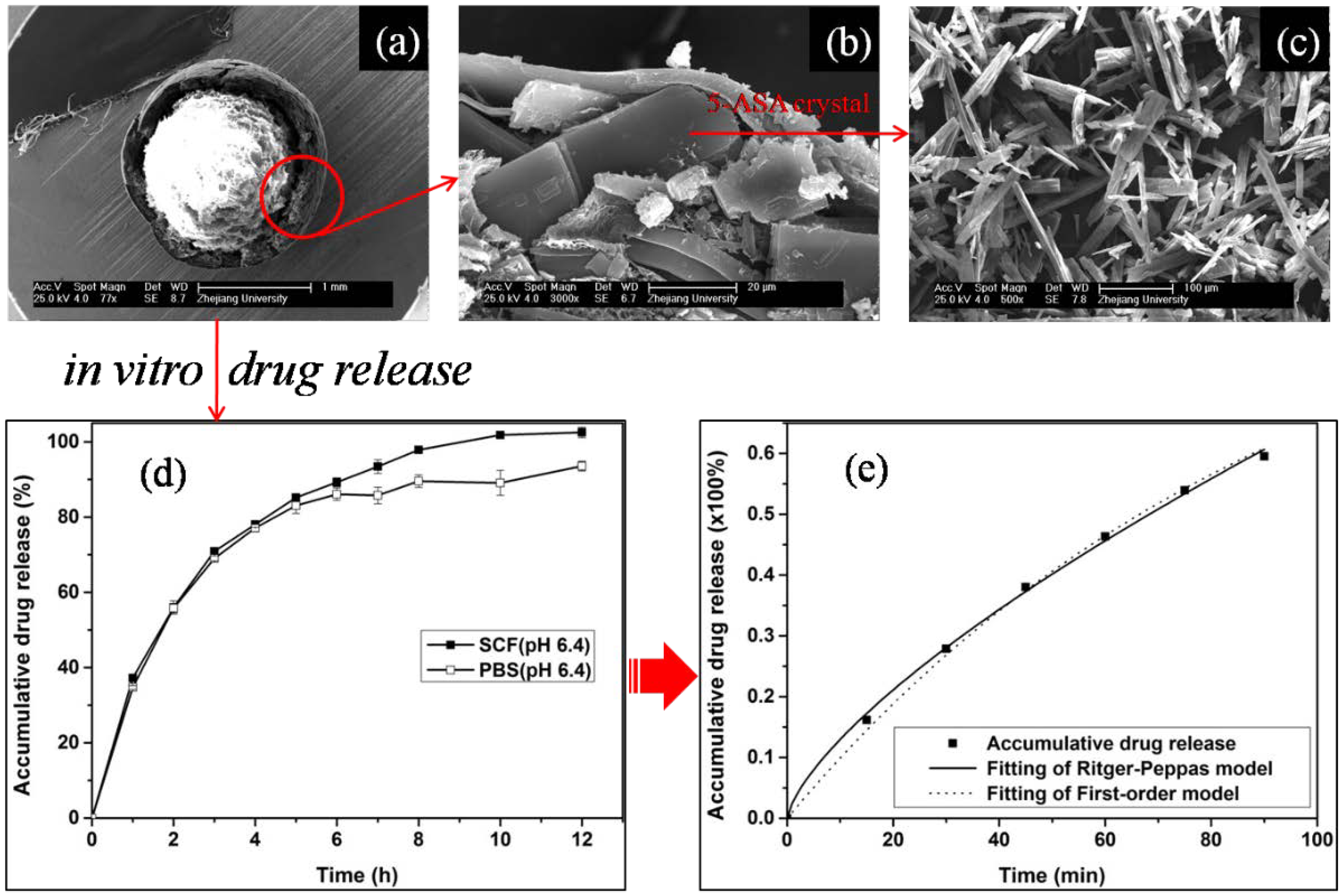 Marinedrugs 12 06236 g005