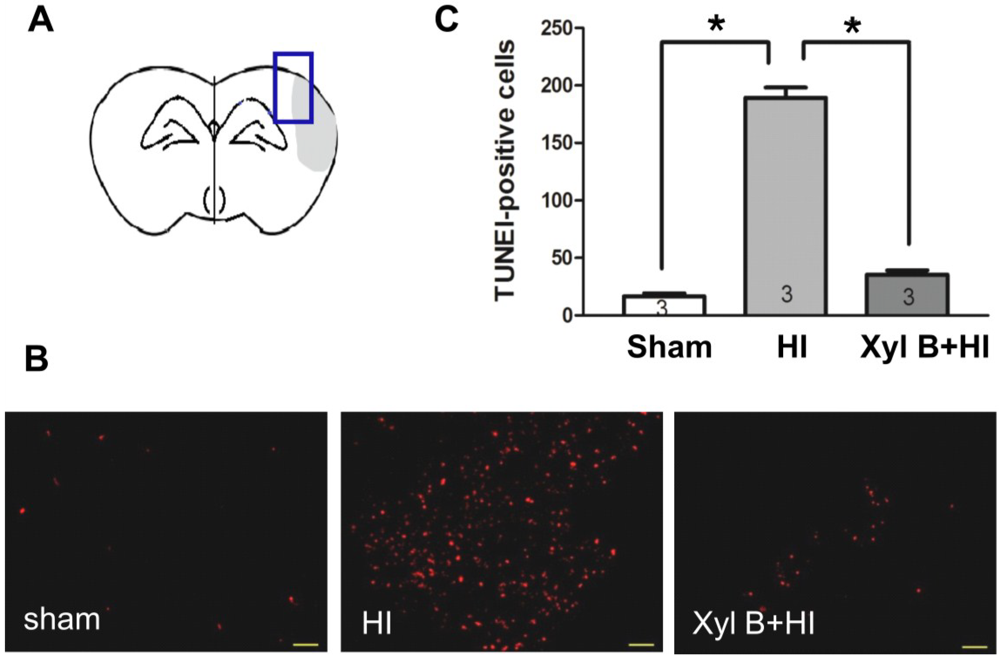 Marinedrugs 13 00029 g005