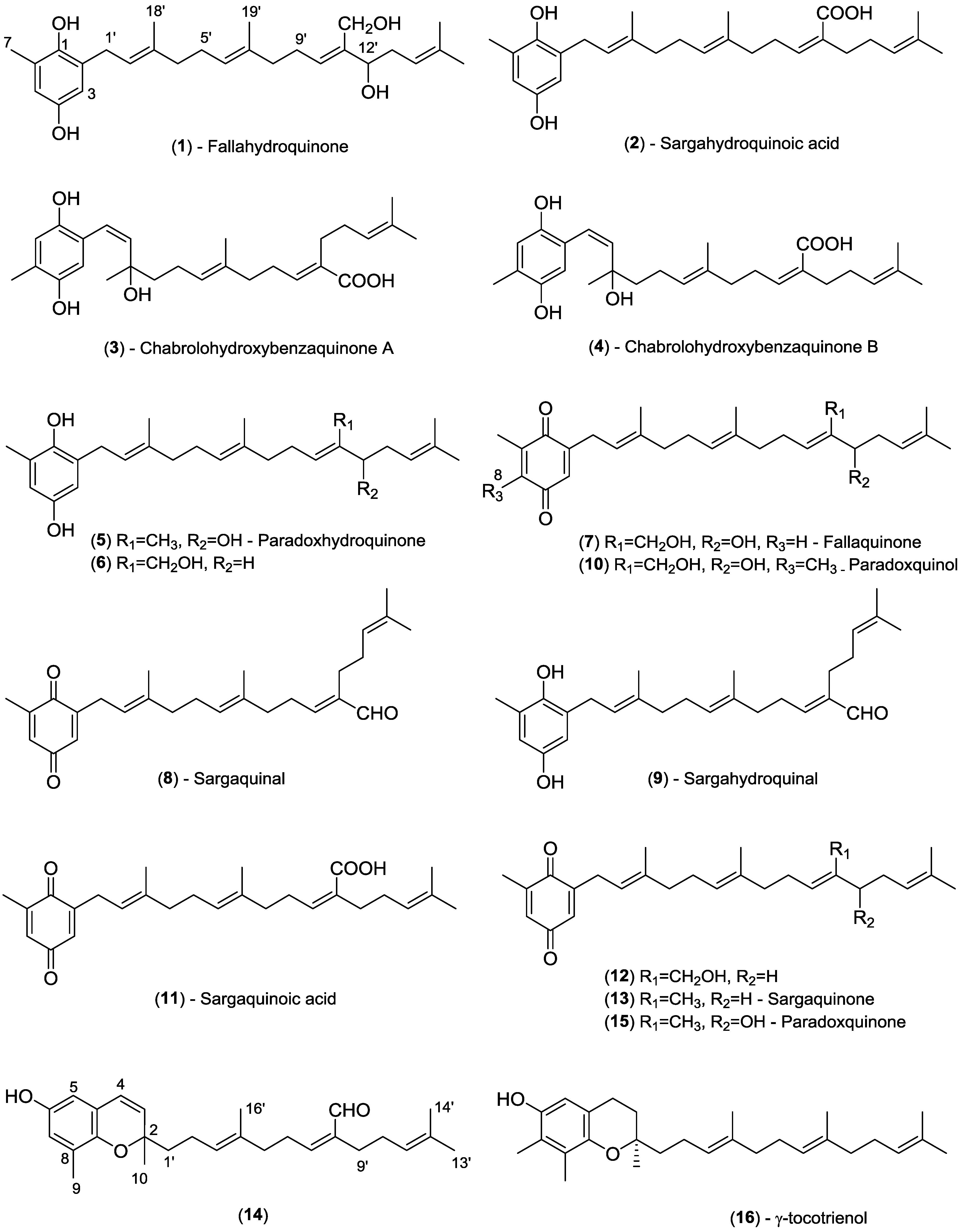 Marinedrugs 13 00102 g001