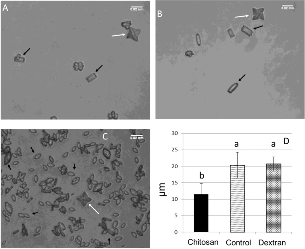 Marinedrugs 13 00141 g005 1024