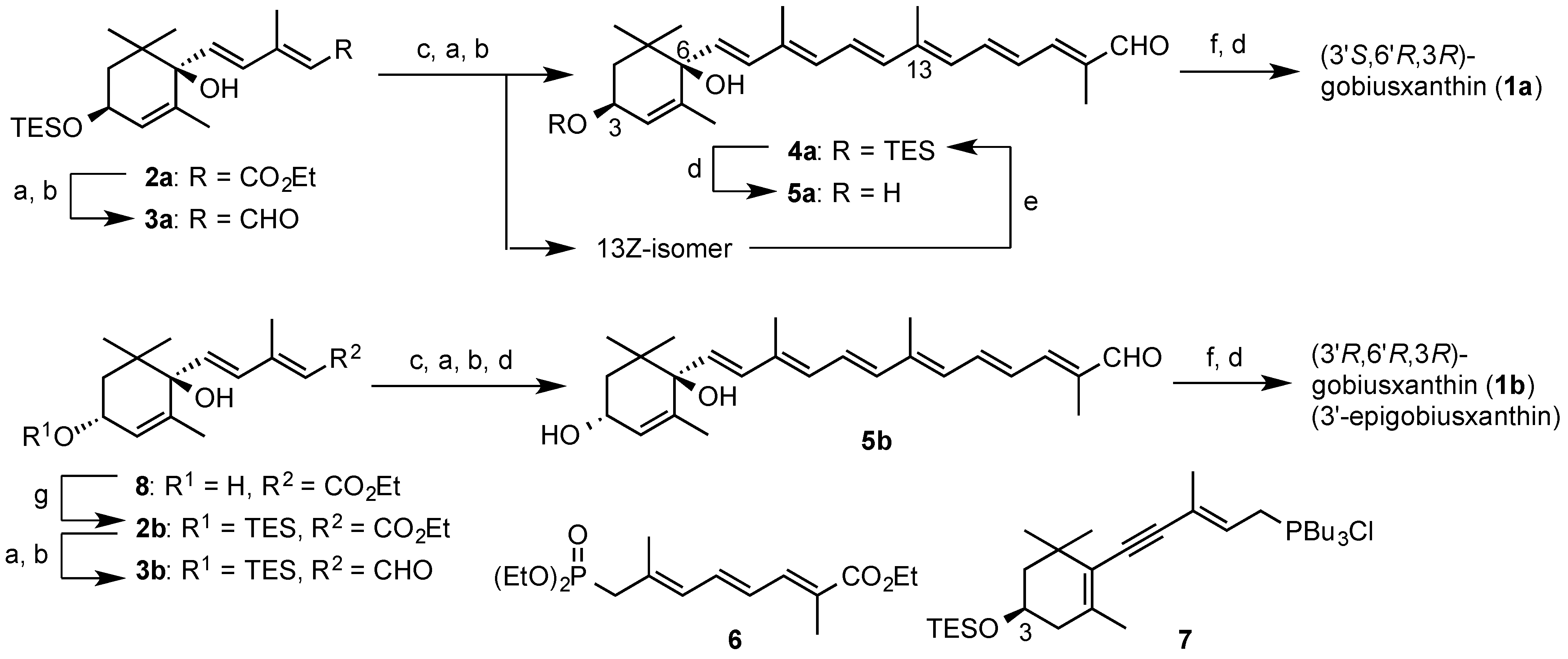 Marinedrugs 13 00159 g005