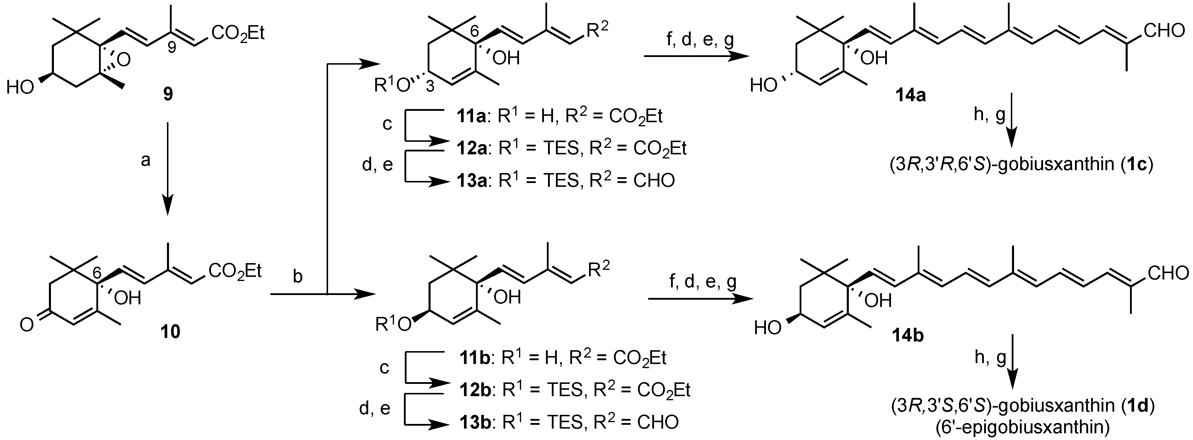 Marinedrugs 13 00159 g006