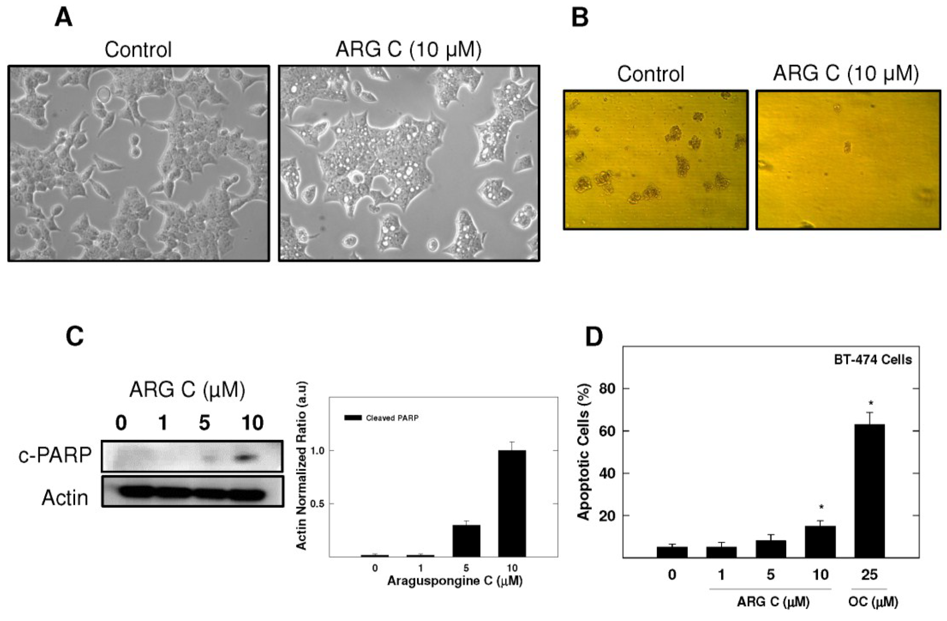 Marinedrugs 13 00288 g004