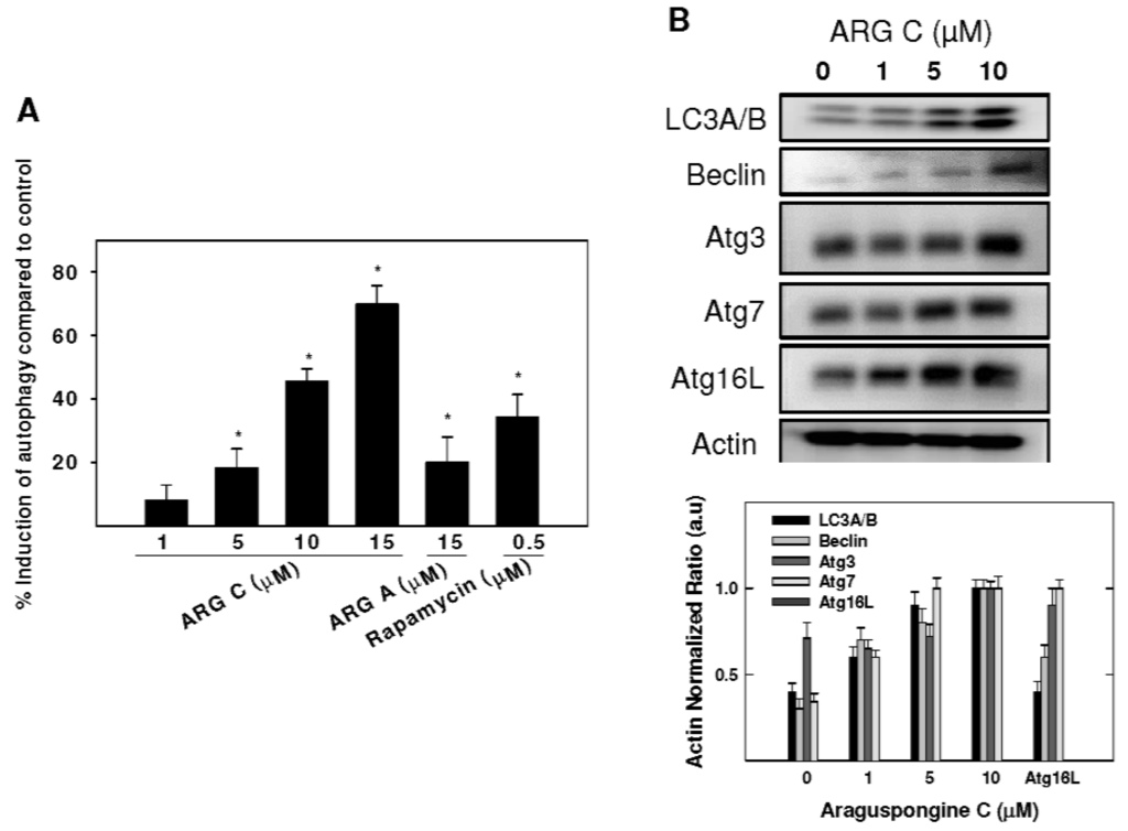 Marinedrugs 13 00288 g005 1024