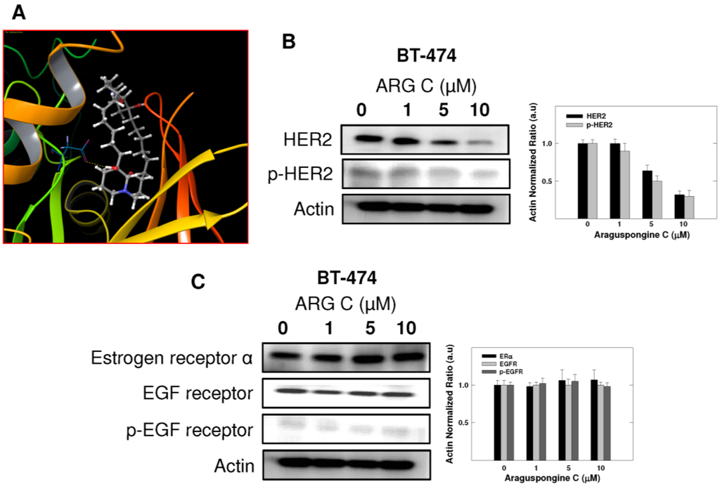 Marinedrugs 13 00288 g007 1024