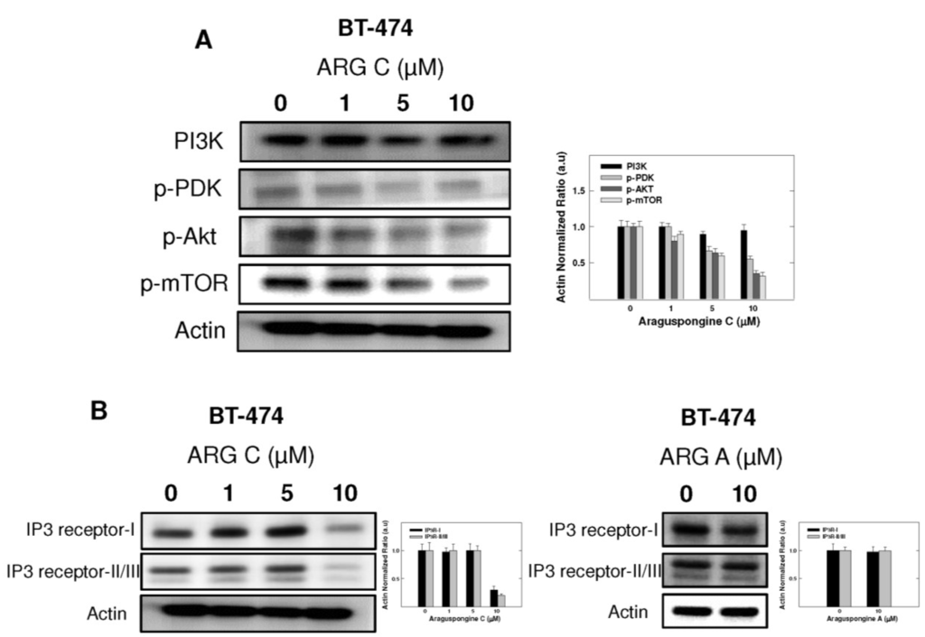 Marinedrugs 13 00288 g008 1024