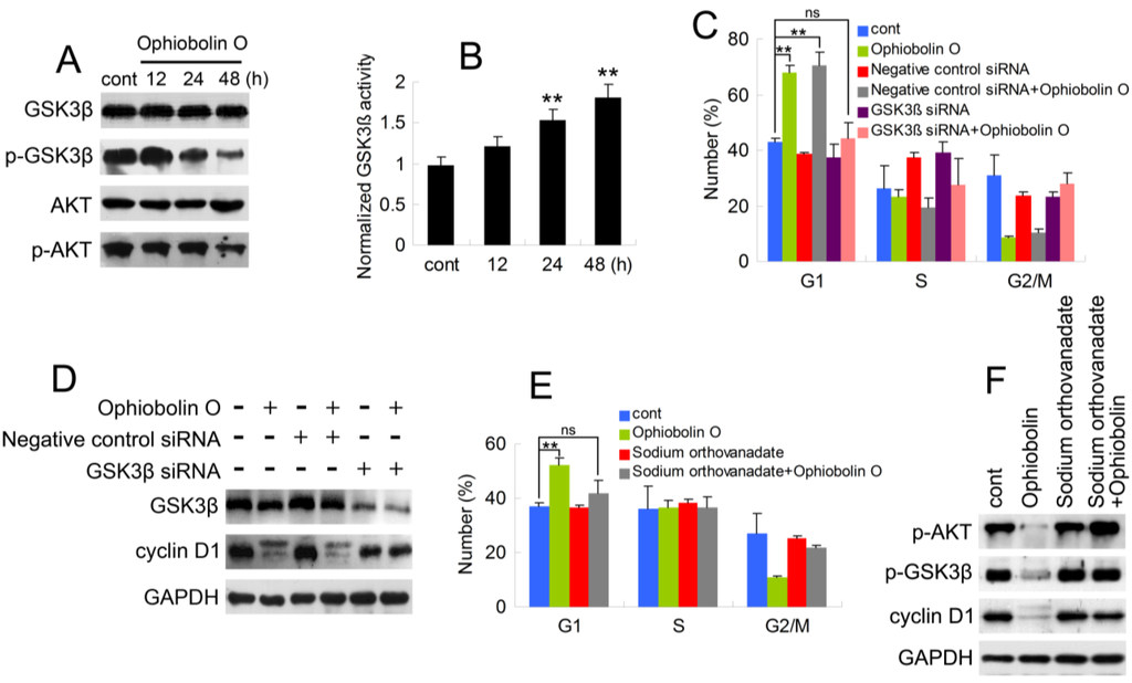 Marinedrugs 13 00431 g004 1024