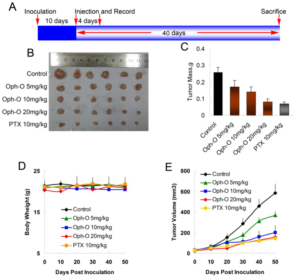 Marinedrugs 13 00431 g005 1024