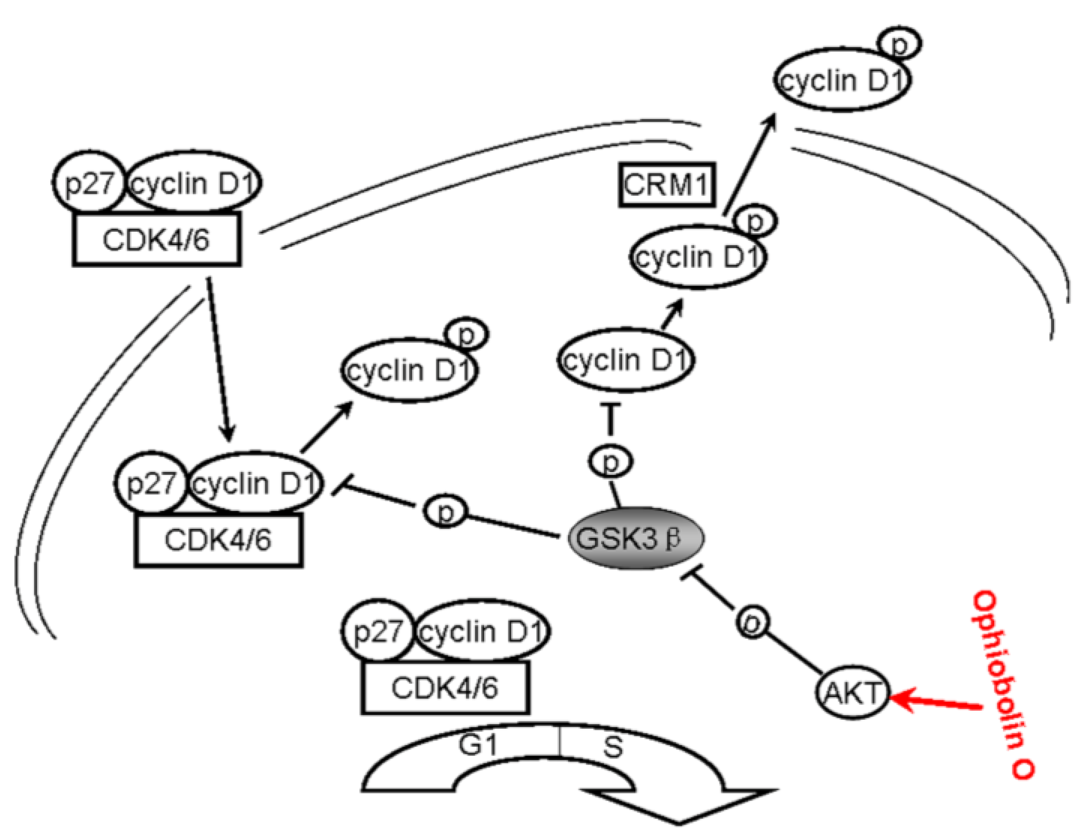 Marinedrugs 13 00431 g006