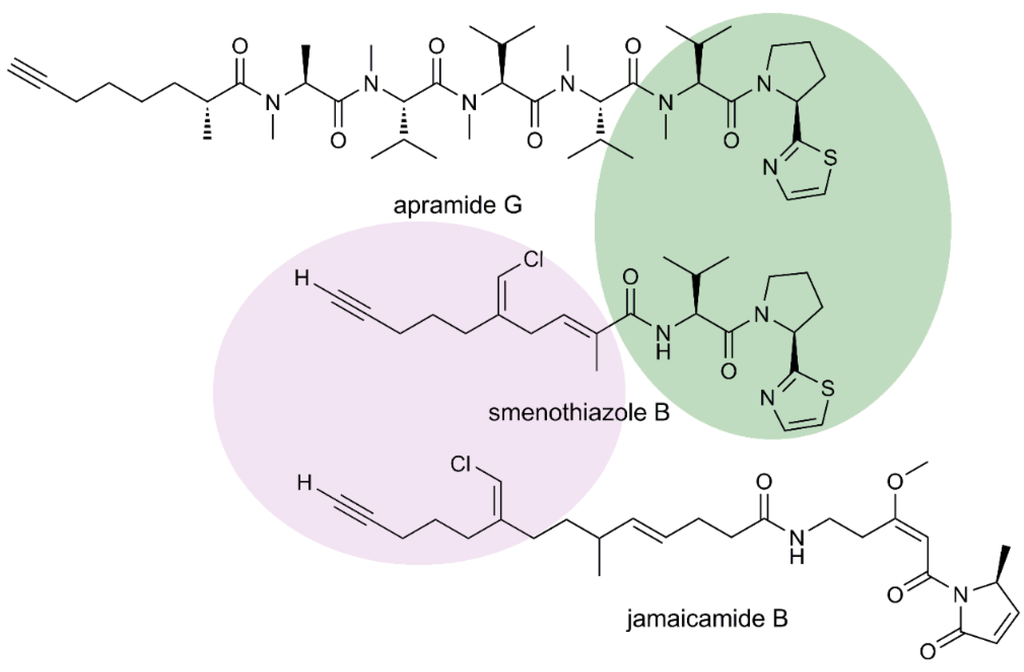 Marinedrugs 13 00444 g008 1024