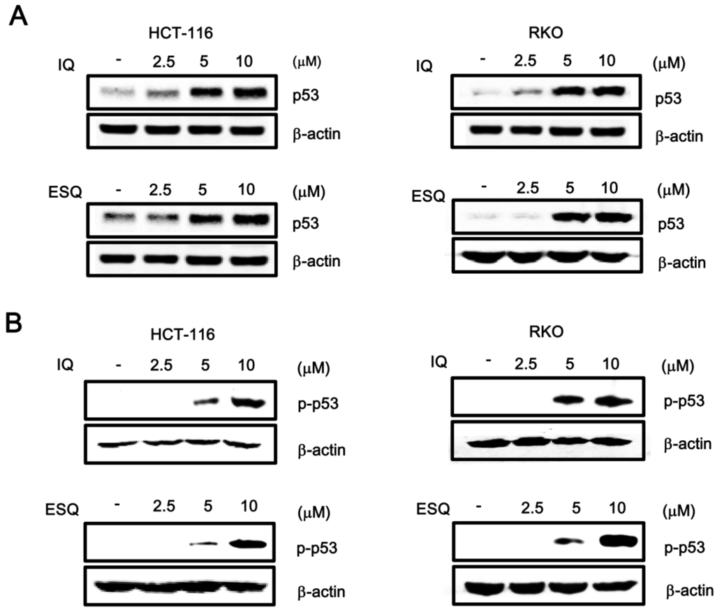 Marinedrugs 13 00543 g002 1024