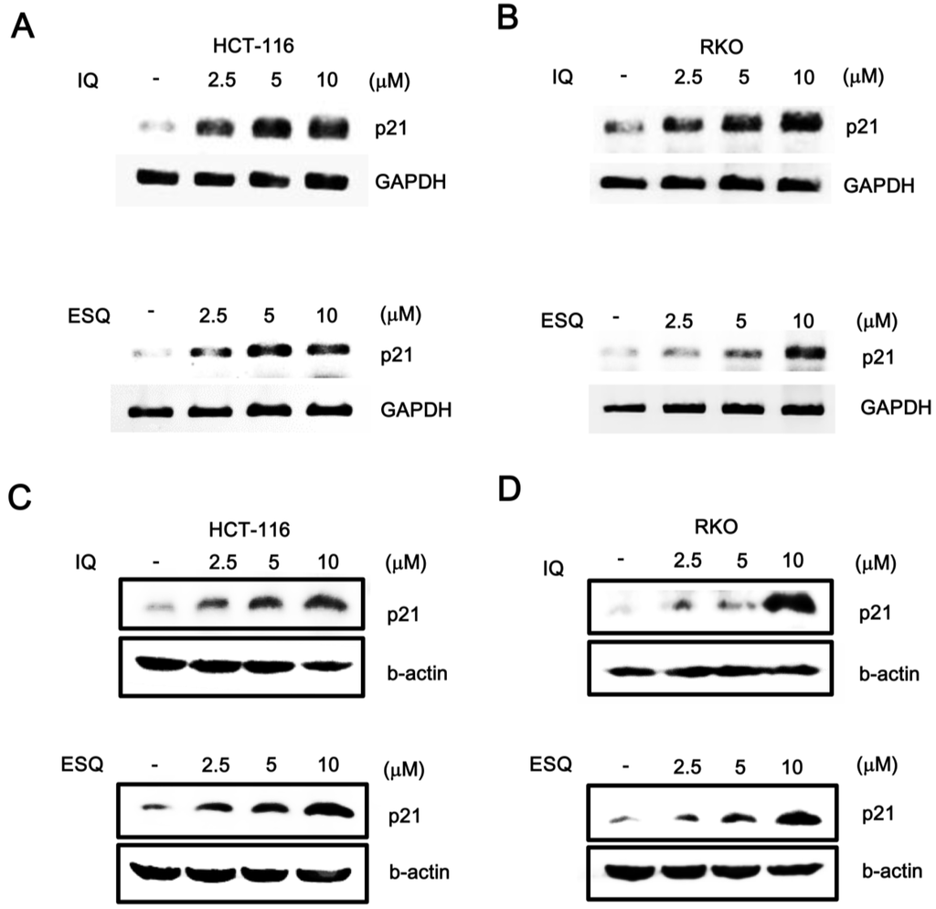 Marinedrugs 13 00543 g003 1024