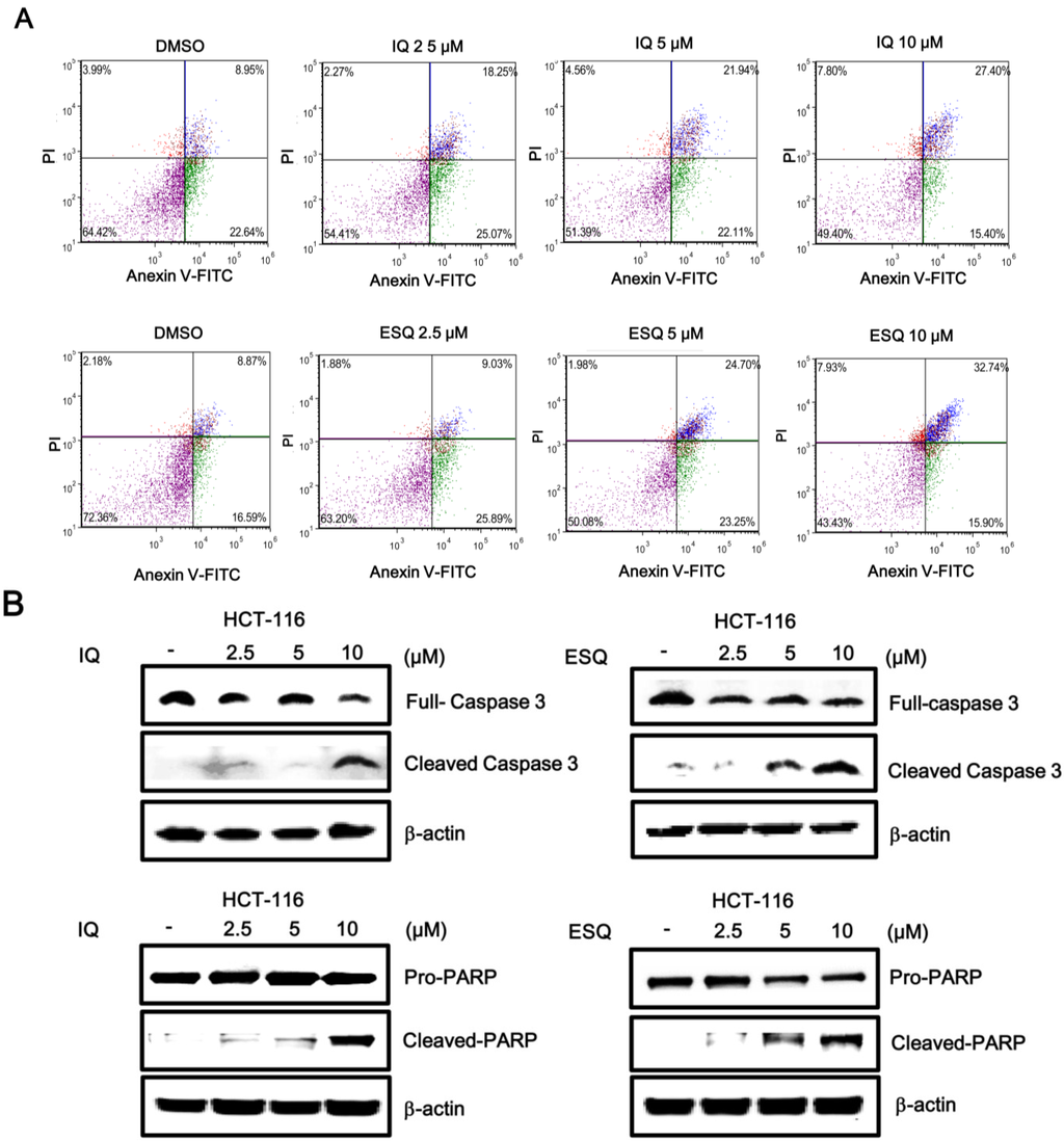 Marinedrugs 13 00543 g005 1024