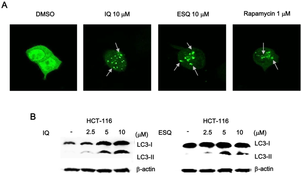 Marinedrugs 13 00543 g006 1024