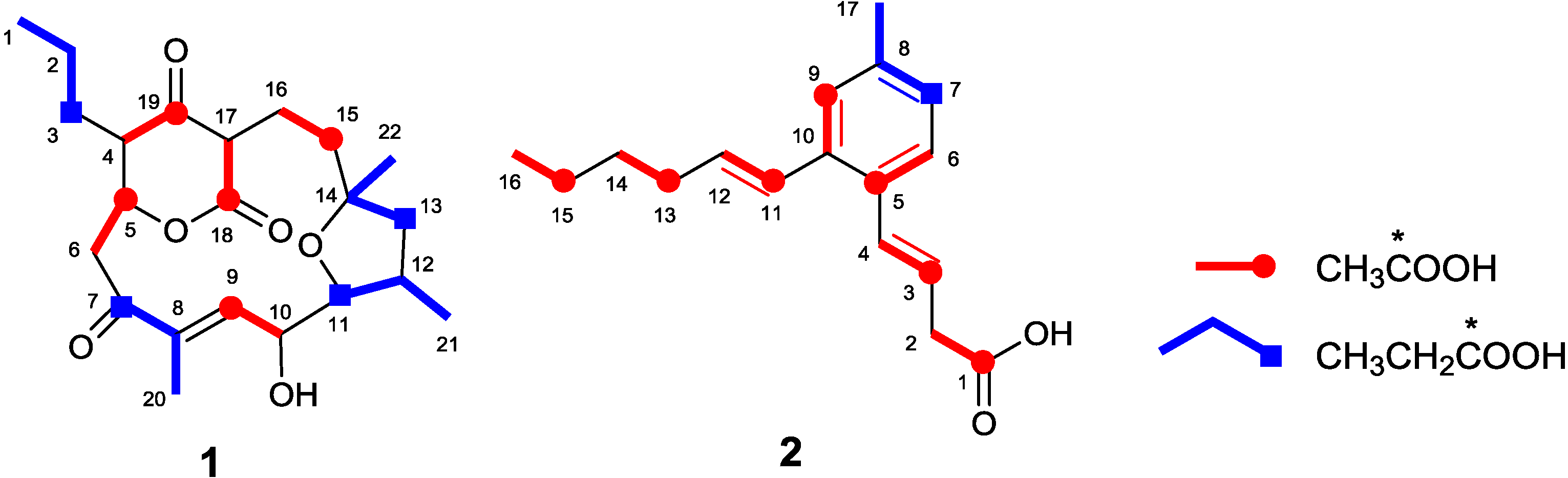 Marinedrugs 13 00581 g003