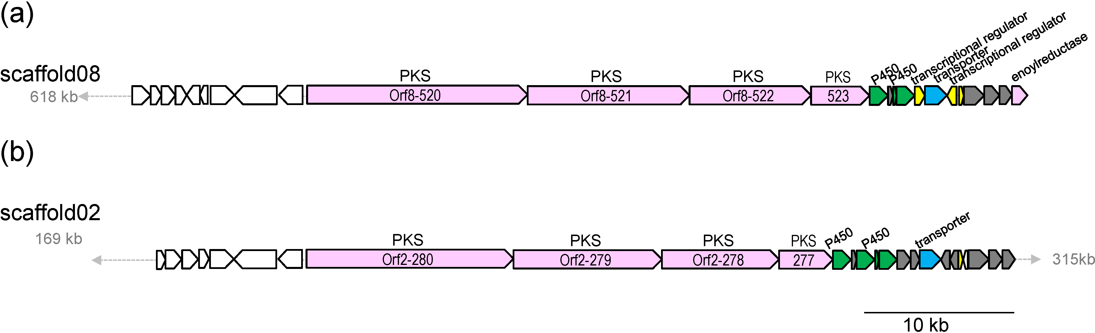 Marinedrugs 13 00581 g004