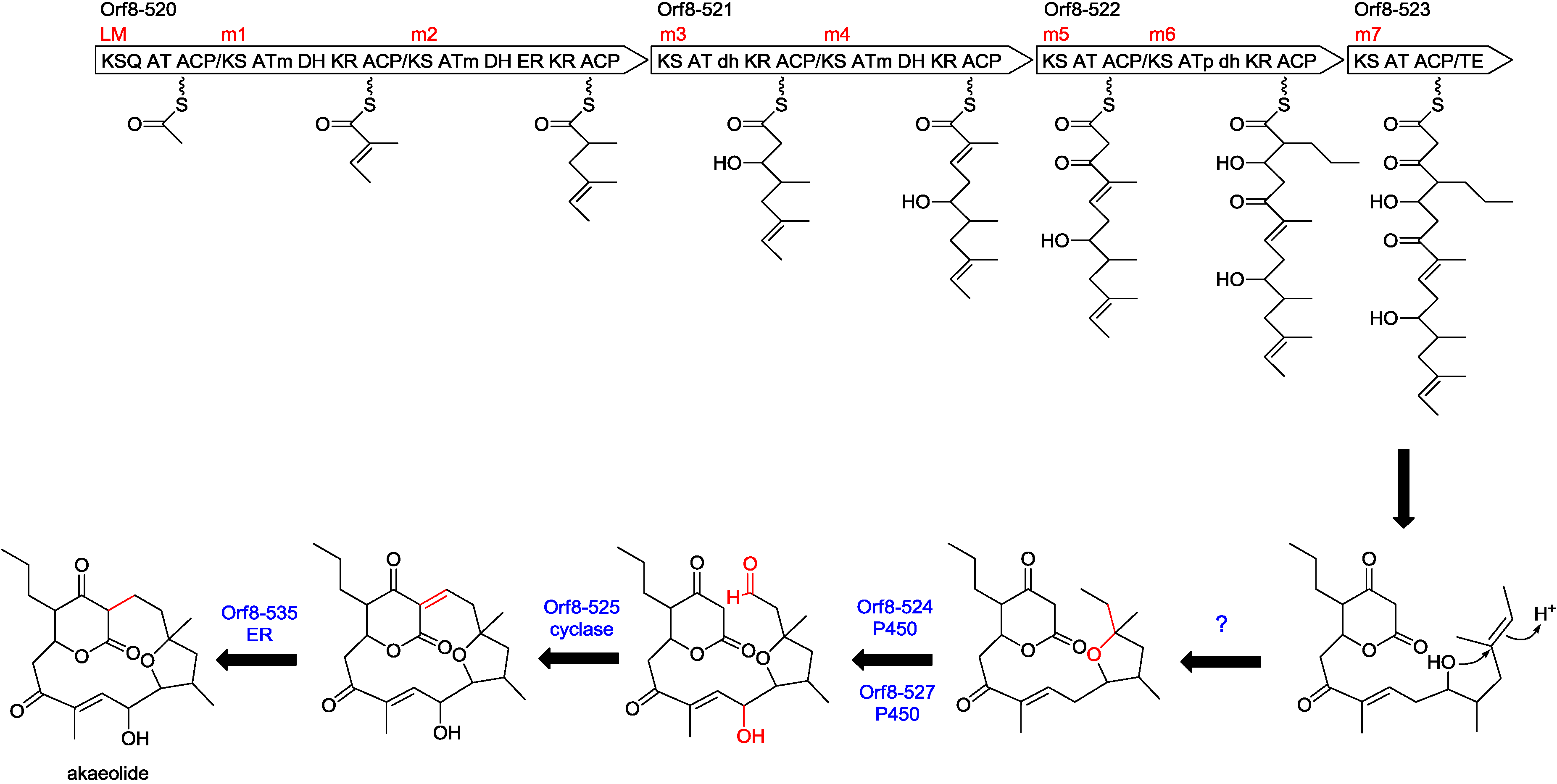 Marinedrugs 13 00581 g005