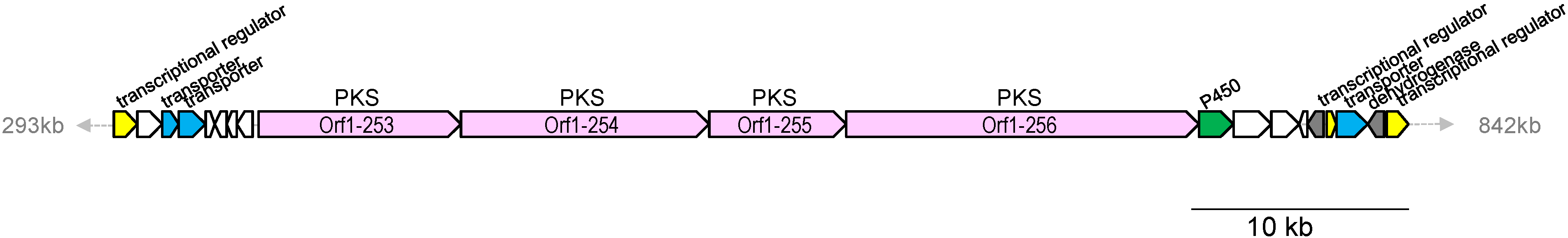 Marinedrugs 13 00581 g006