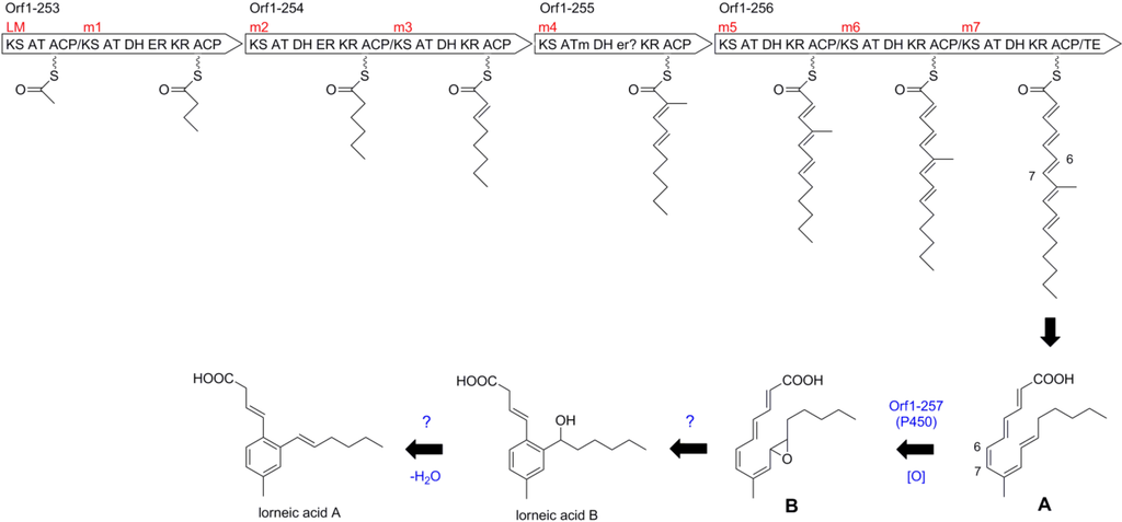 Marinedrugs 13 00581 g007 1024