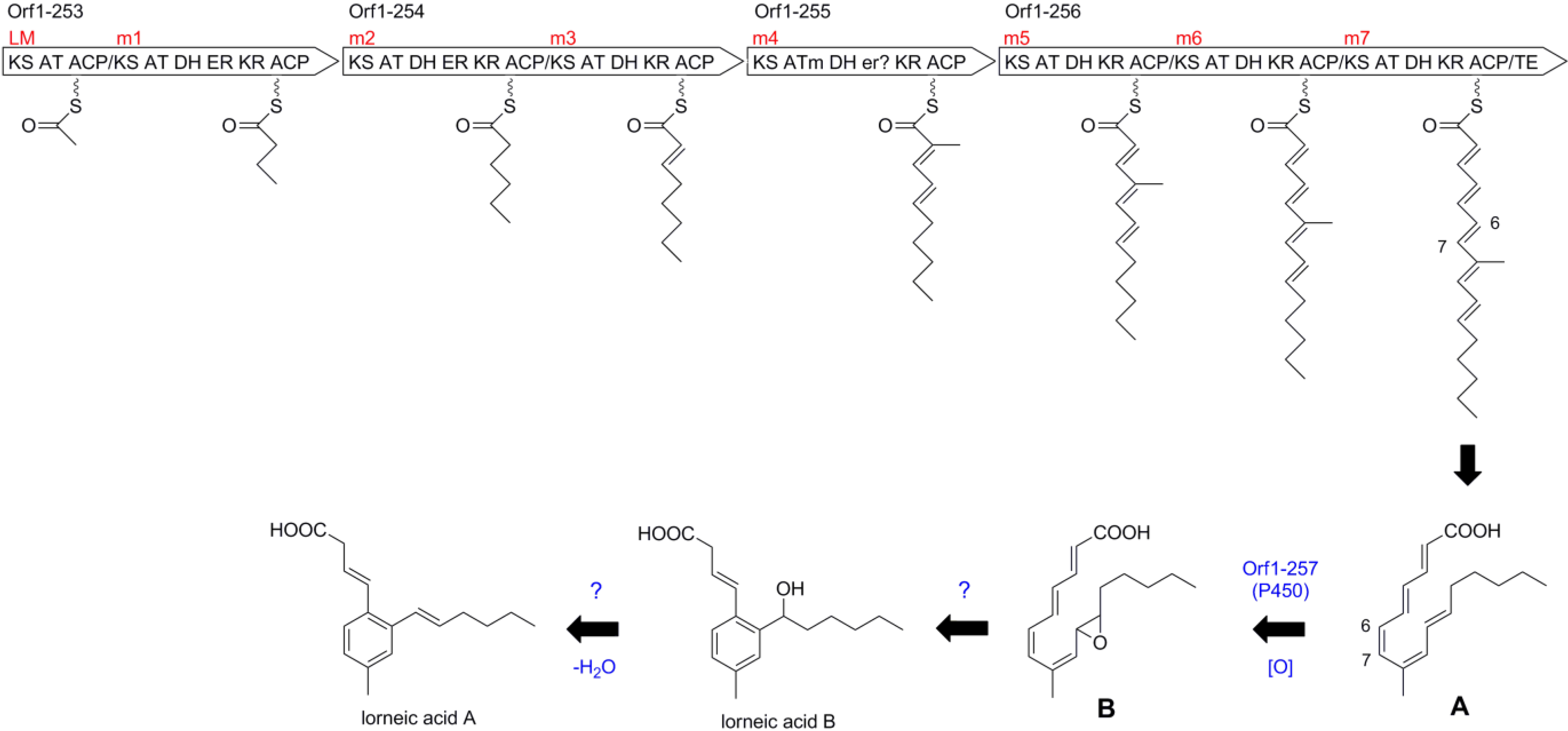 Marinedrugs 13 00581 g007