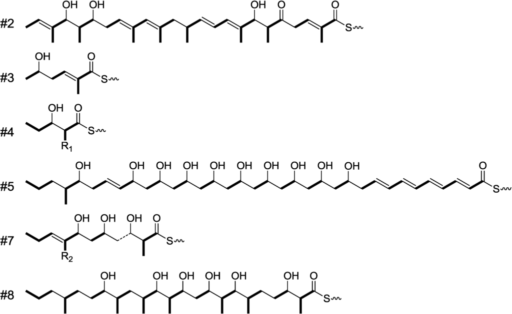 Marinedrugs 13 00581 g008 1024