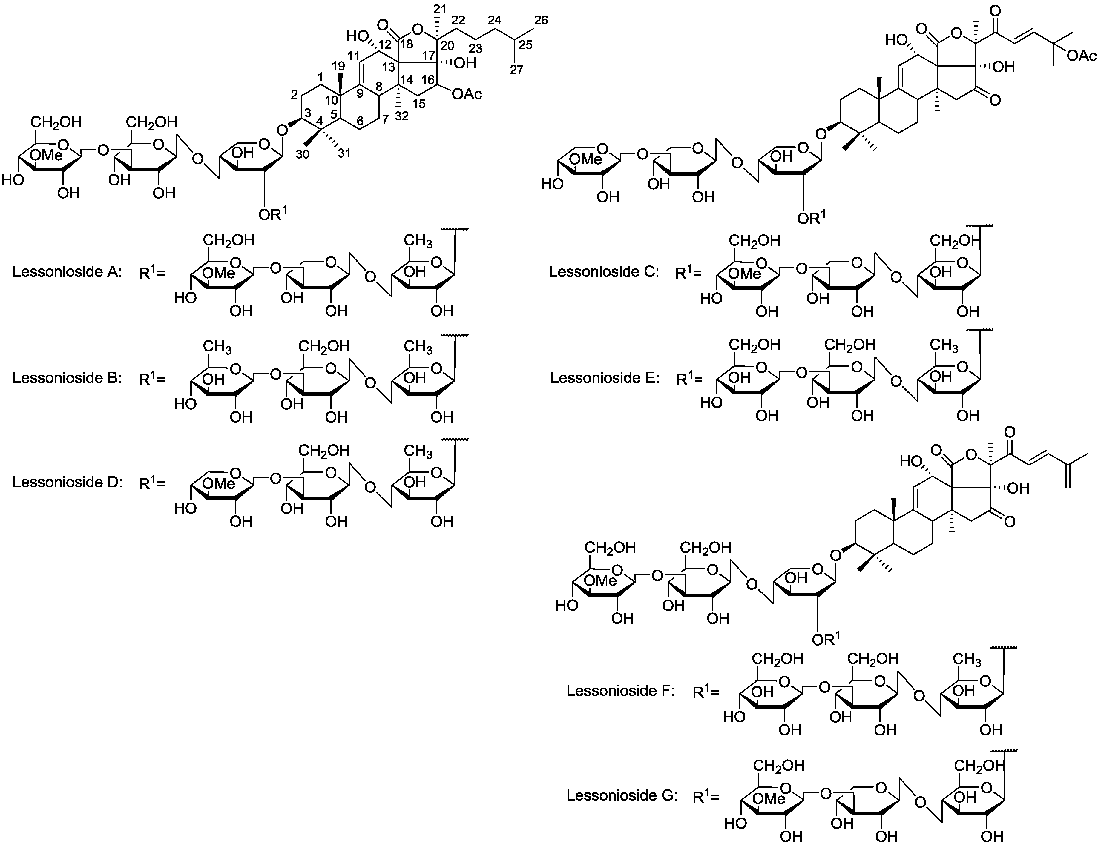 Marinedrugs 13 00597 g001