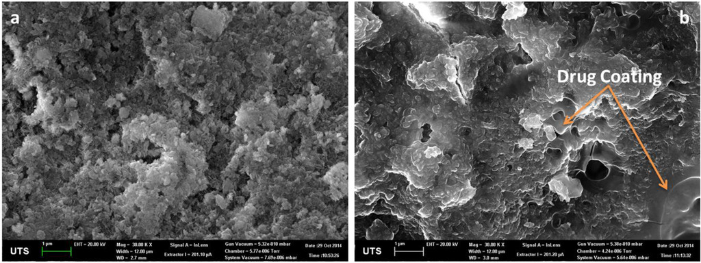 Marinedrugs 13 00666 g001 1024