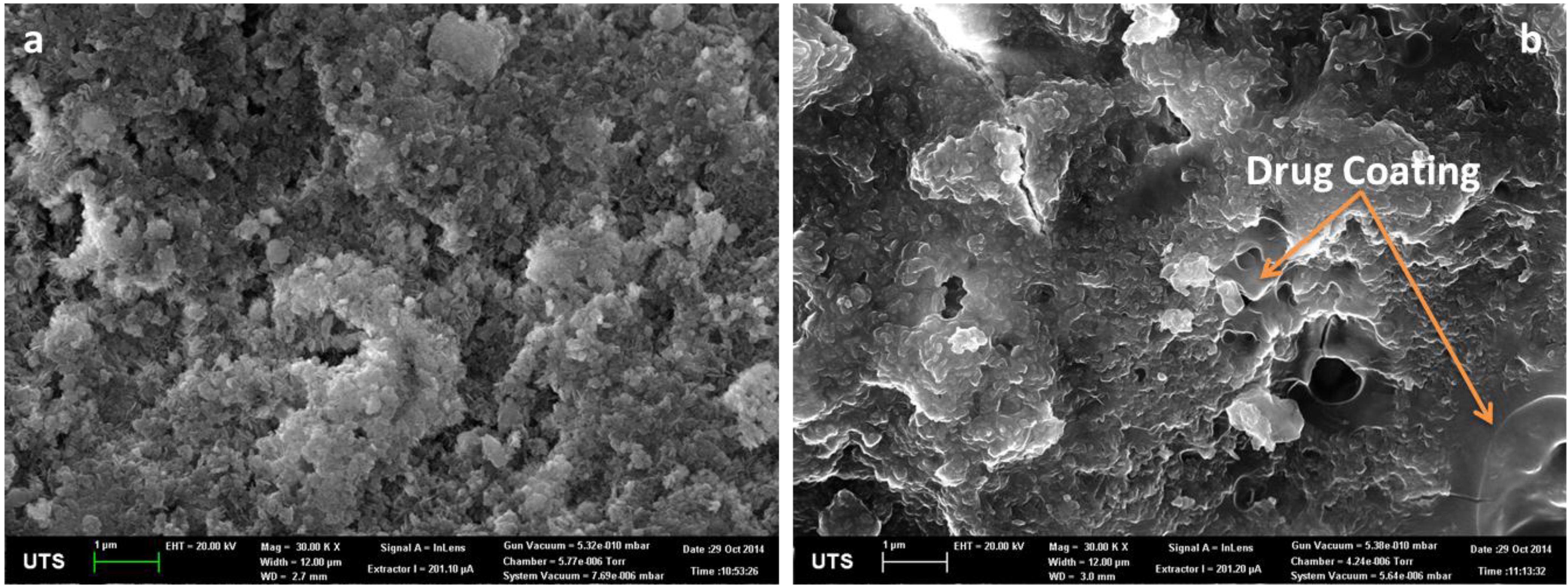 Marinedrugs 13 00666 g001