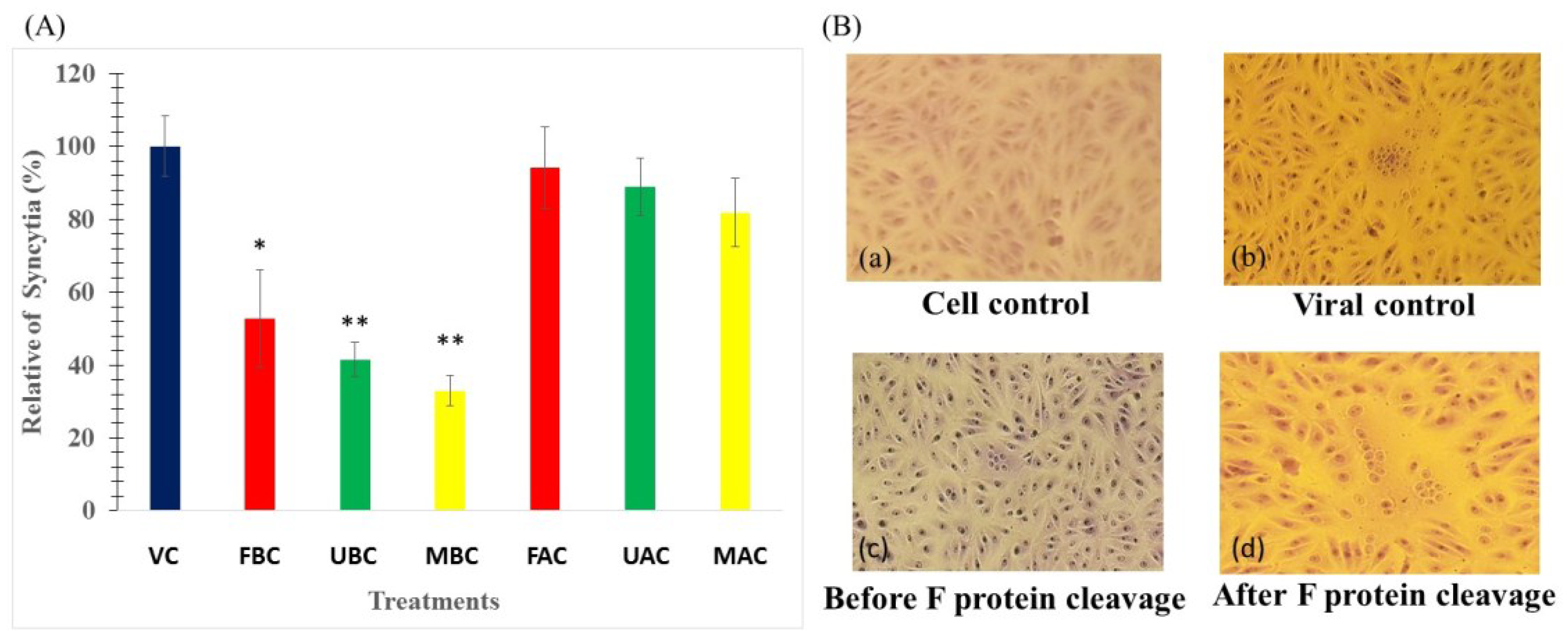 Marinedrugs 13 00697 g005