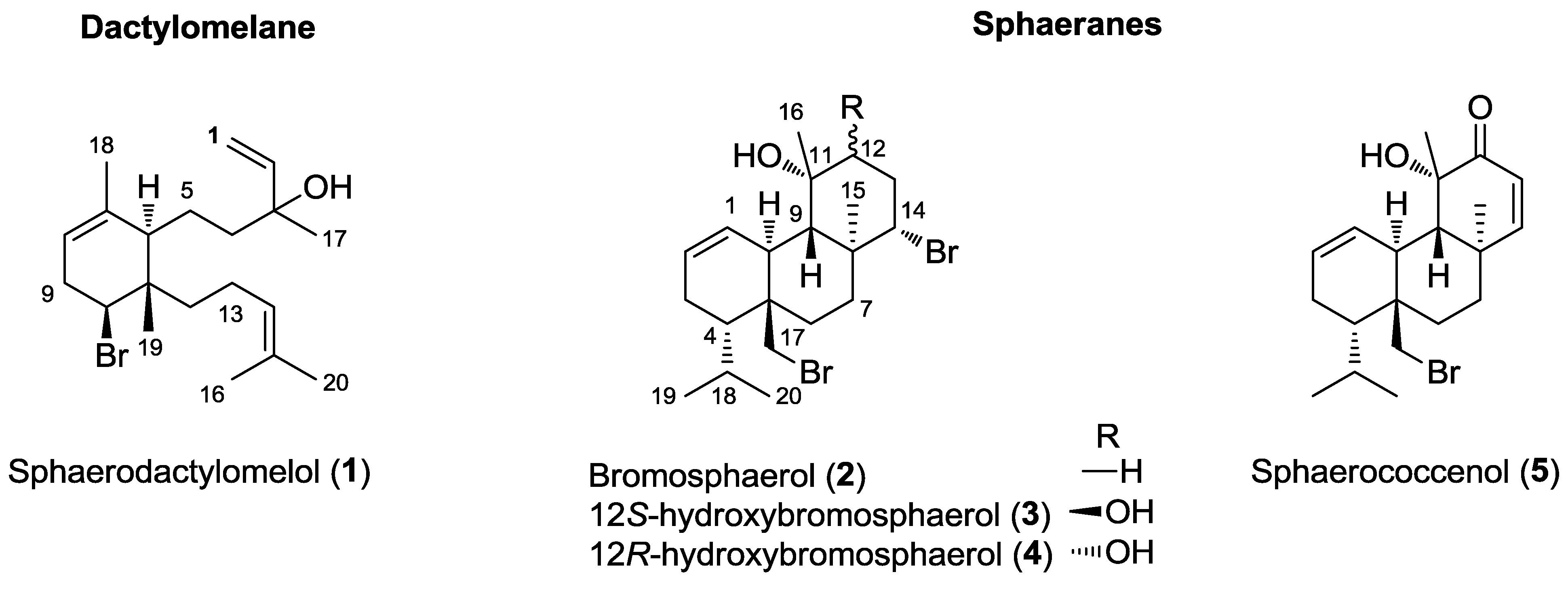 Marinedrugs 13 00713 g001