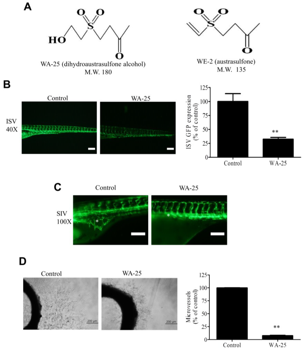 Marinedrugs 13 00861 g001 1024