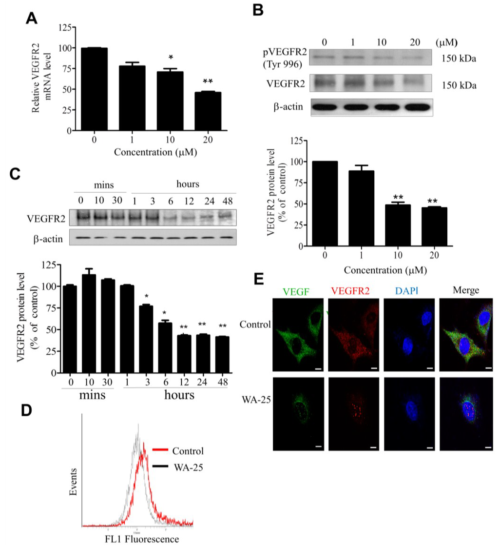 Marinedrugs 13 00861 g004 1024