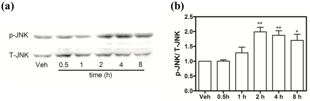 Marinedrugs 13 00903 g011 1024