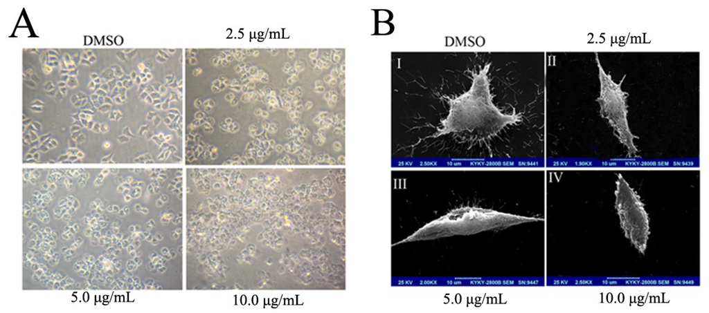 Marinedrugs 13 01010 g002 1024