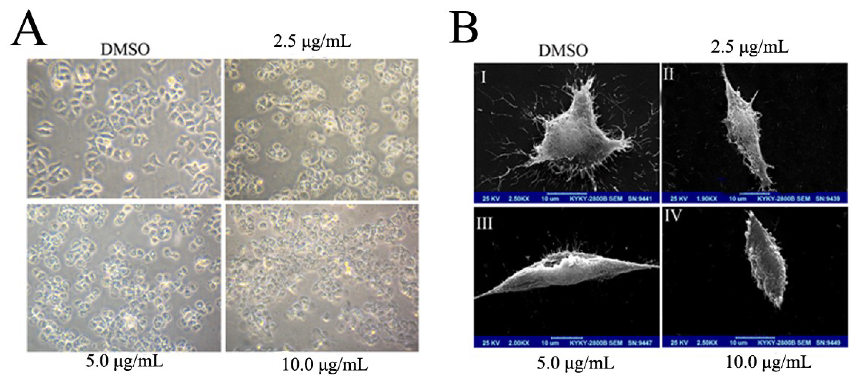 Marinedrugs 13 01010 g002