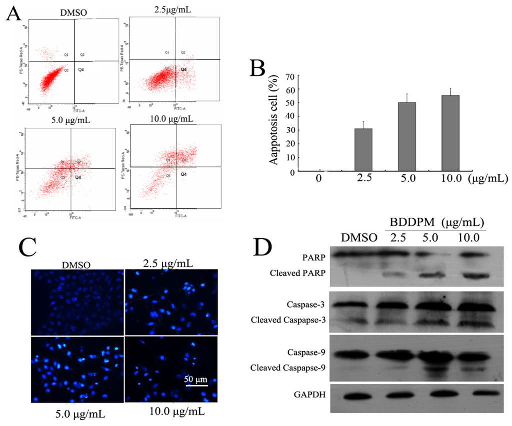 Marinedrugs 13 01010 g003 1024