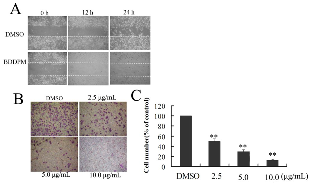 Marinedrugs 13 01010 g004 1024