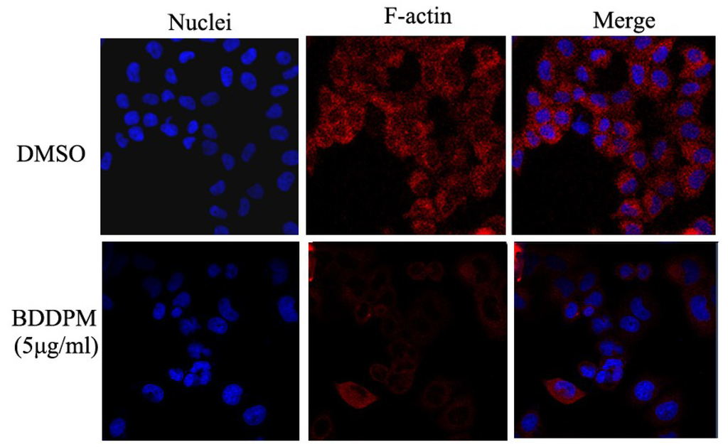 Marinedrugs 13 01010 g006 1024