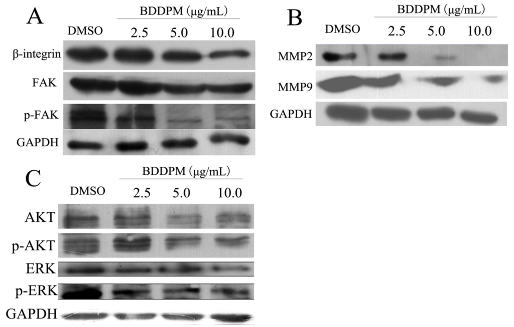 Marinedrugs 13 01010 g007 1024