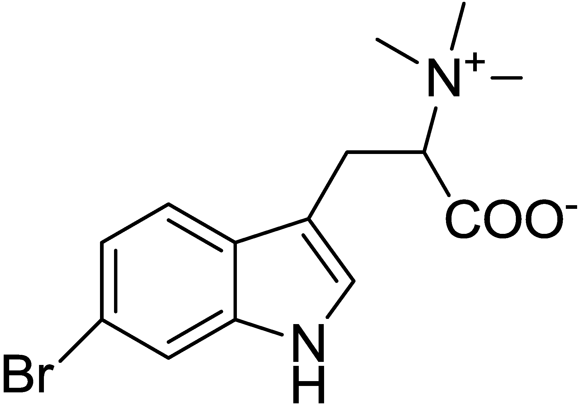 Marinedrugs 13 01255 g001