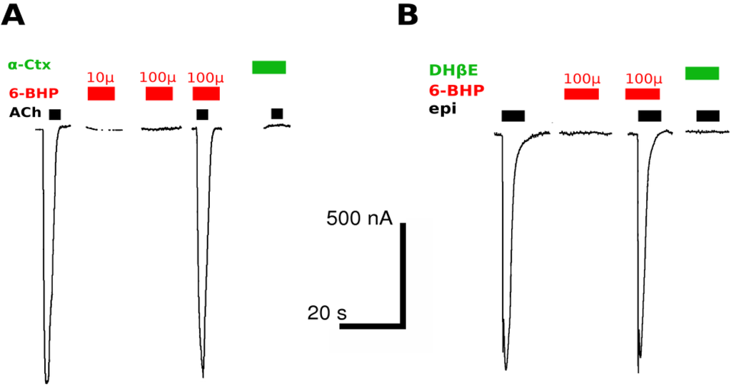 Marinedrugs 13 01255 g002a 1024