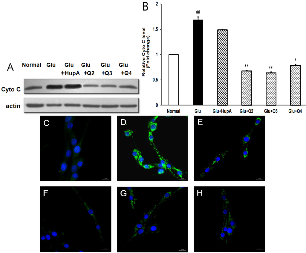 Marinedrugs 13 01267 g008 1024