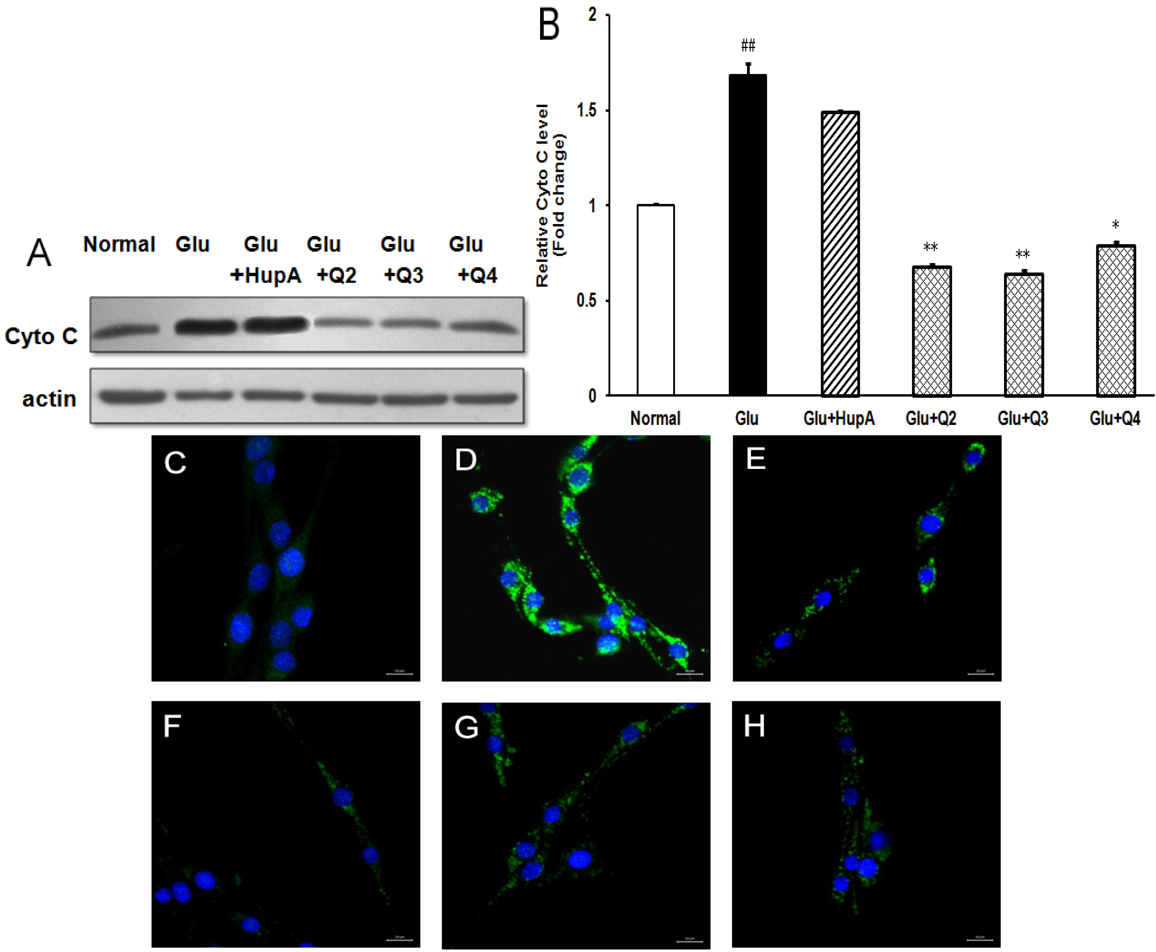Marinedrugs 13 01267 g008