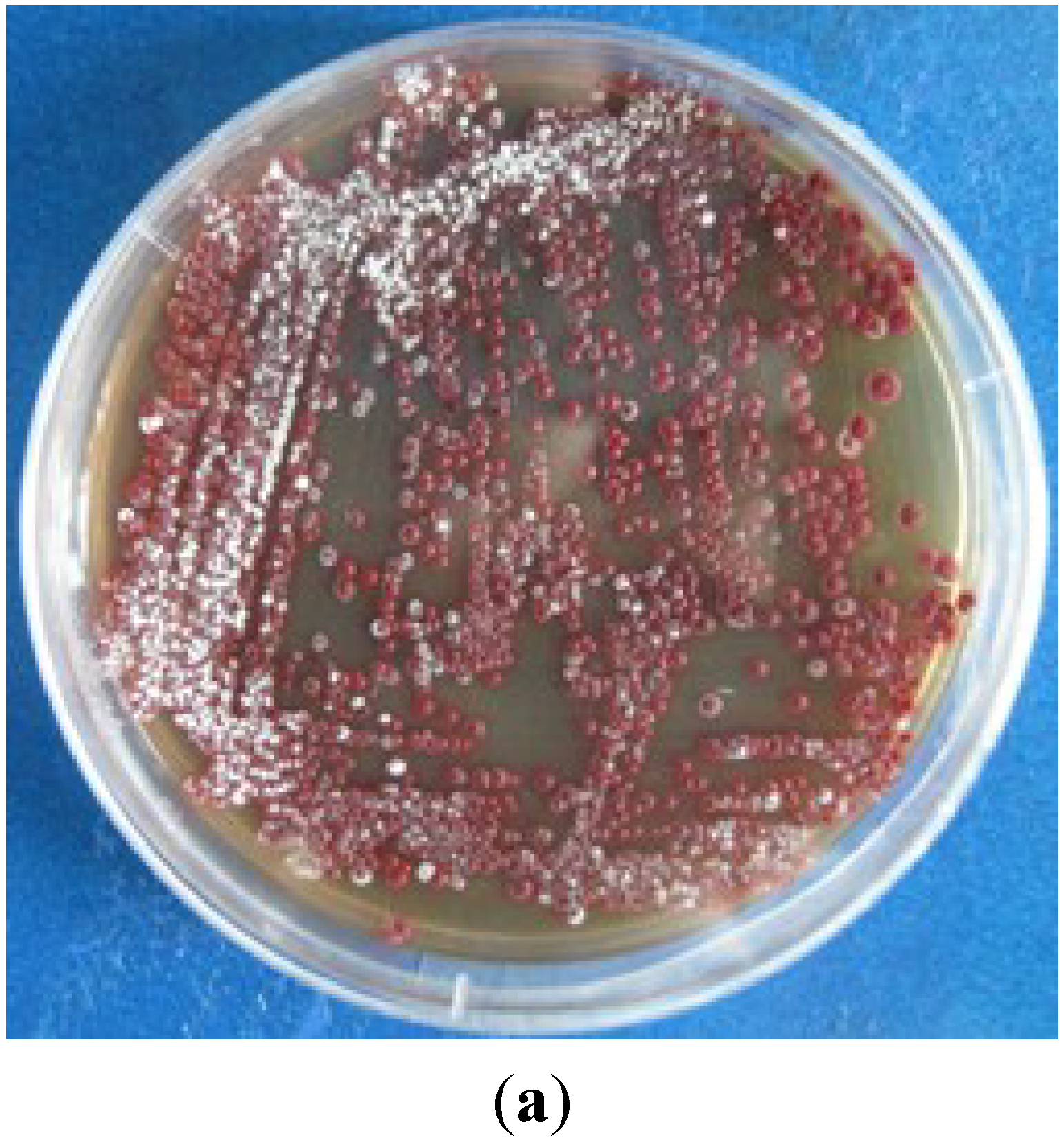 Marinedrugs 13 01304 g004a