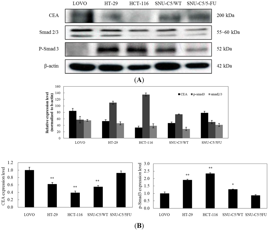 Marinedrugs 13 01340 g005 1024