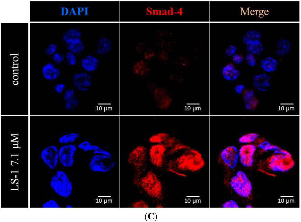 Marinedrugs 13 01340 g006b 1024